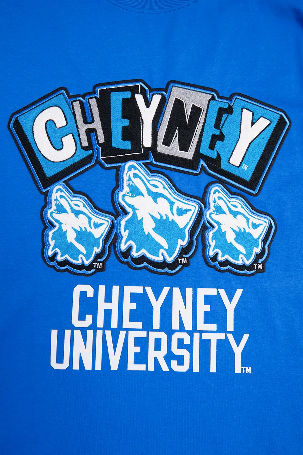 CHEYNEY UNIVERSITY OF PENNSYLVANIA HOMECOMING MEN'S TEE (ROYAL BLUE)