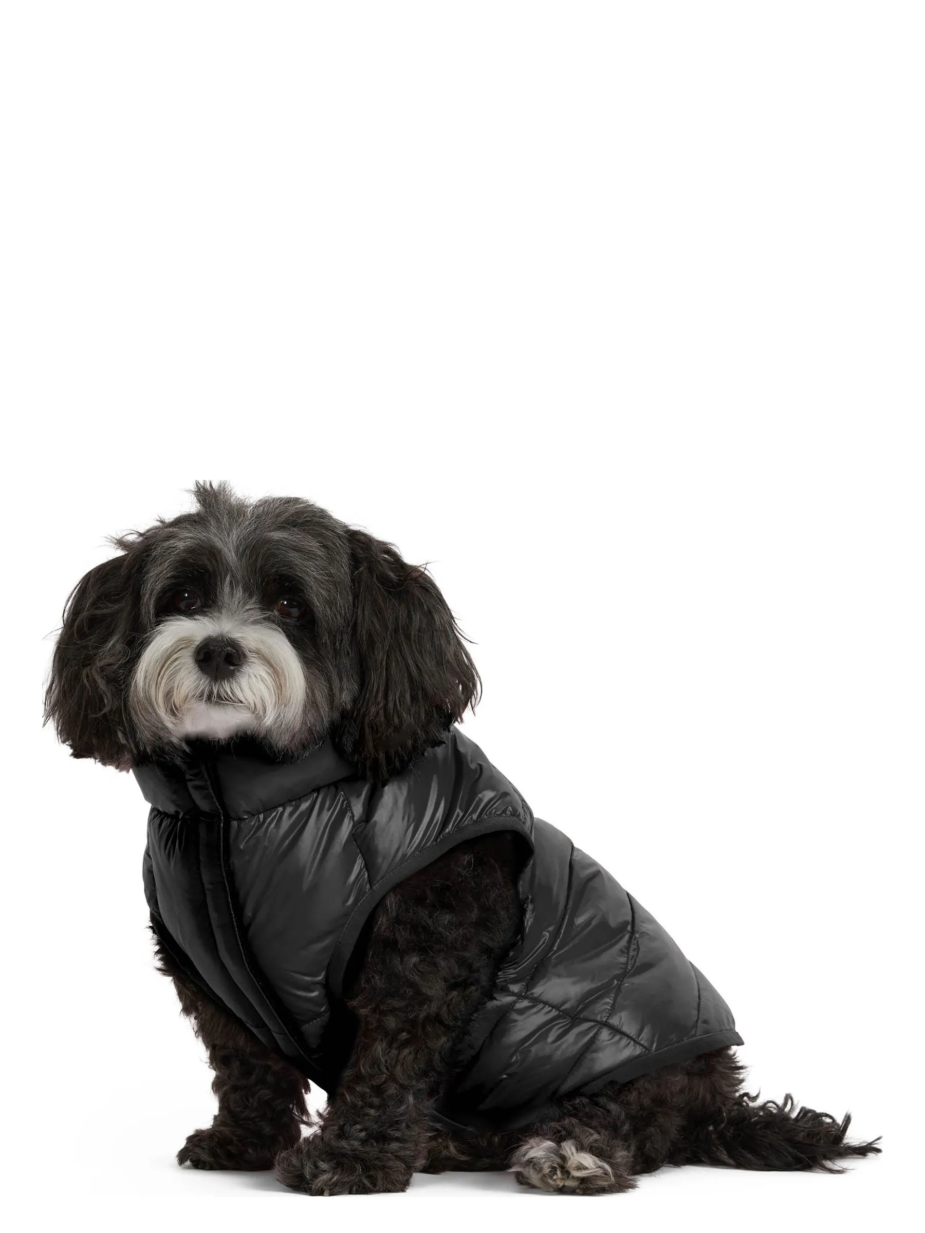 Cora Reversible Packable Puffer for Dogs