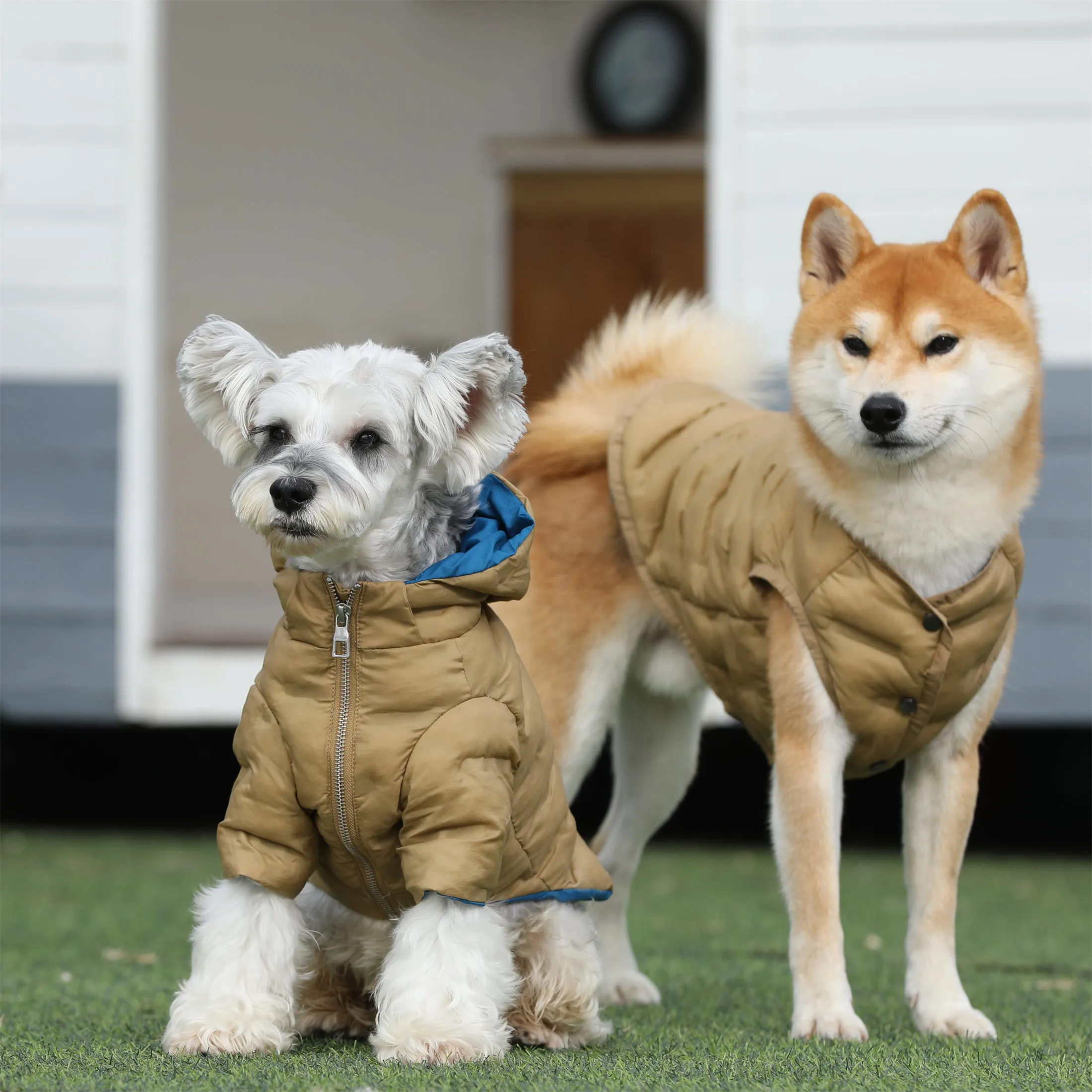 Zip-up Puffer Jacket with Hood