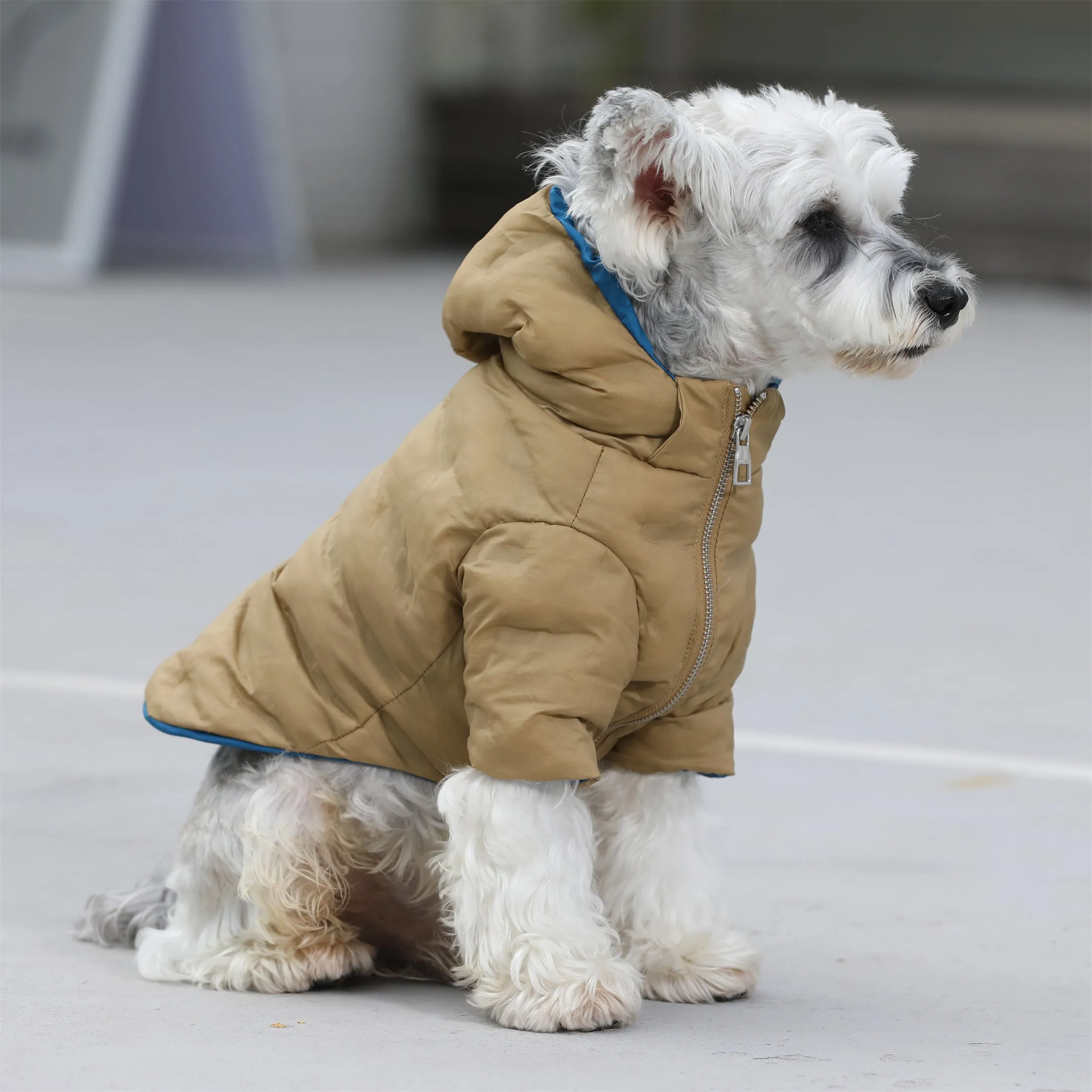 Zip-up Puffer Jacket with Hood