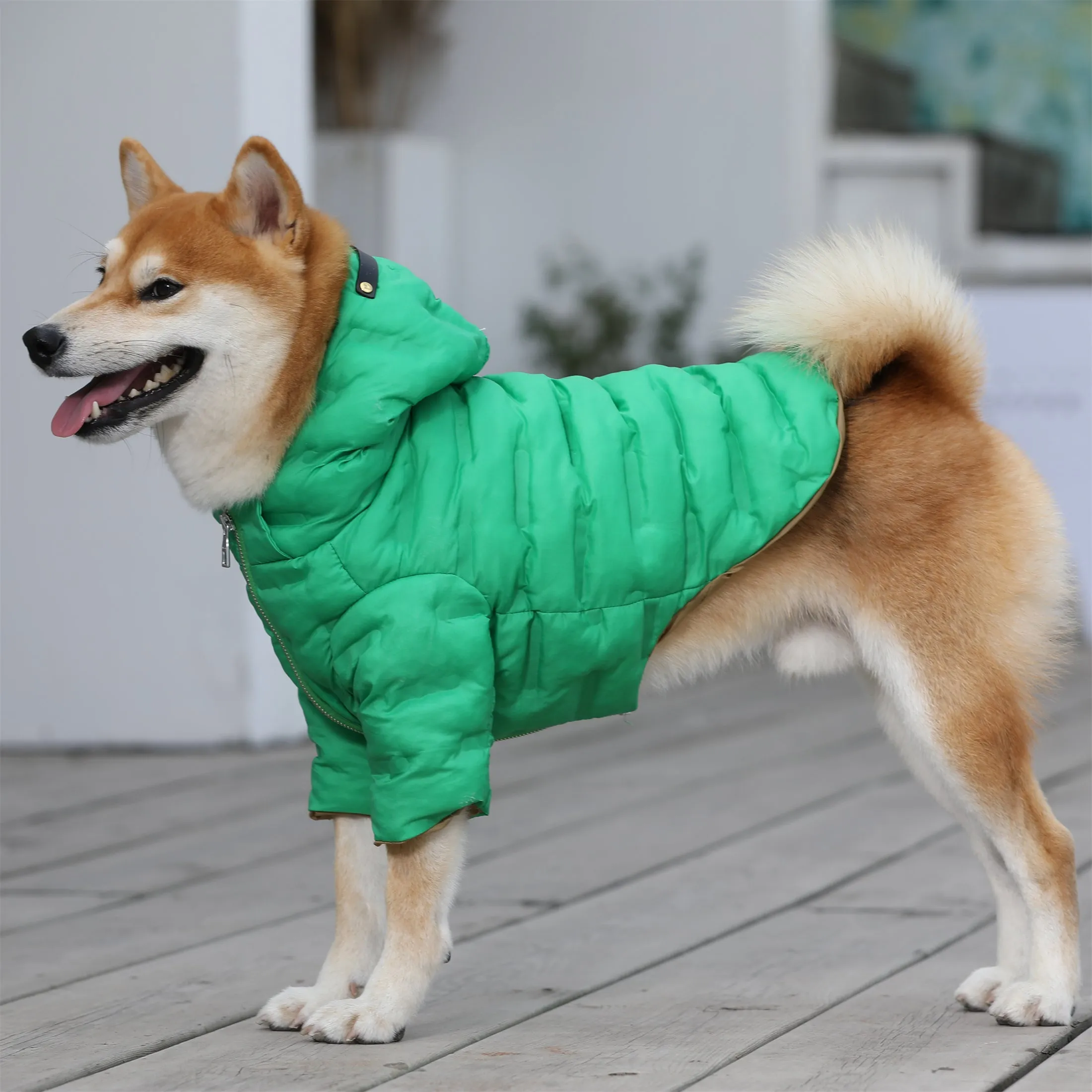 Zip-up Puffer Jacket with Hood